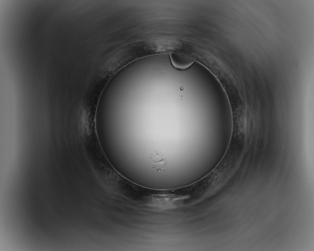 X0000093530316200710121604