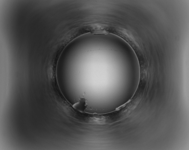 X0000093530317200710121604