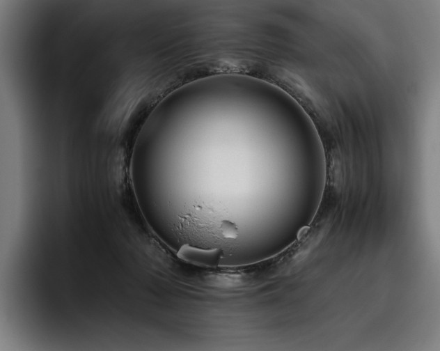 X0000093530318200710121604