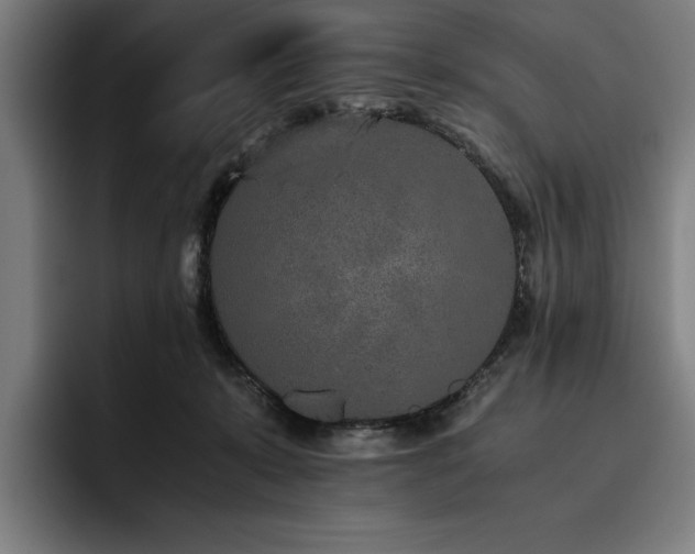 X0000093530319200710121604