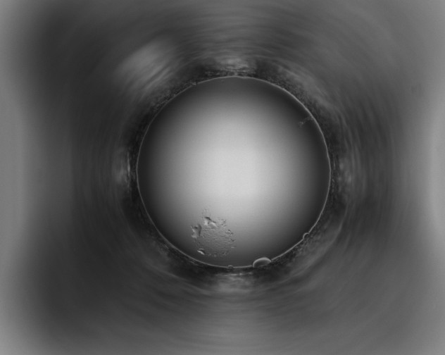 X0000093530320200710121604