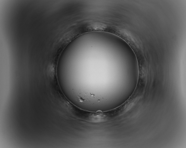 X0000093530321200710121604