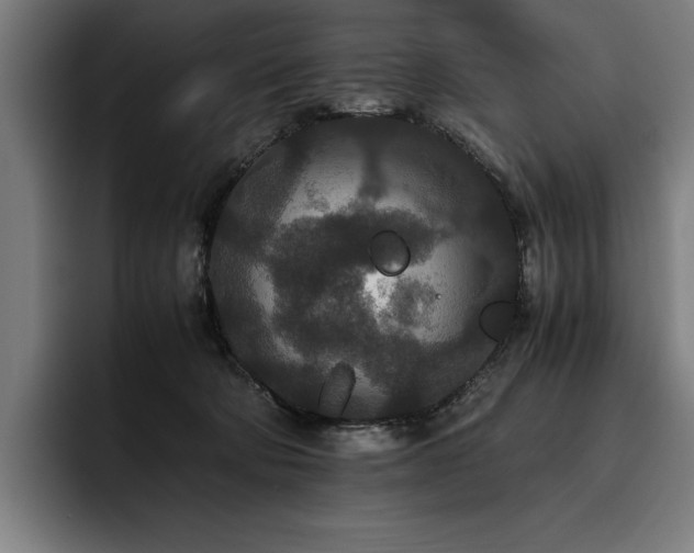 X0000093530322200710121604