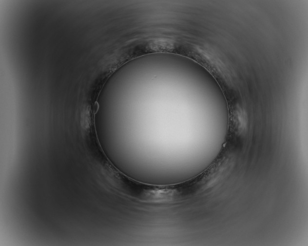 X0000093530323200710121604