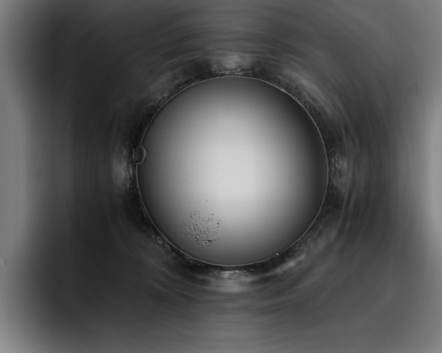 X0000093530324200710121604
