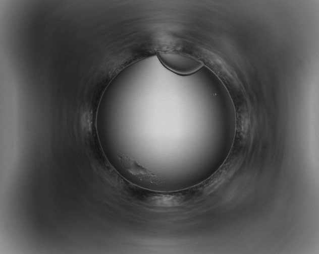 X0000093530326200710121604