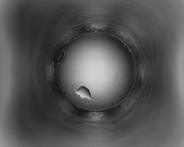 X0000093530328200710121604