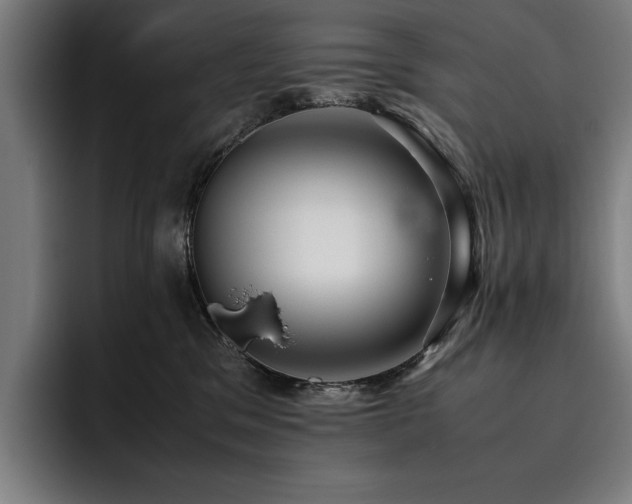 X0000093530329200710121604