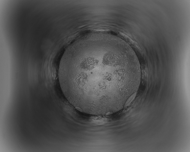 X0000093530331200710121604