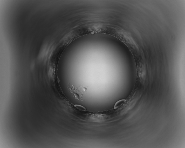 X0000093530332200710121604