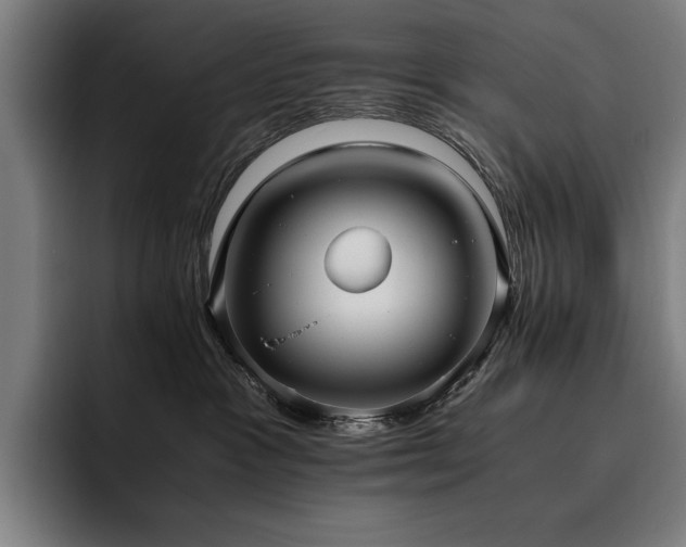 X0000093530333200710121604