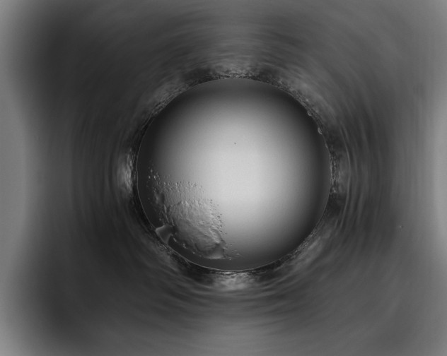 X0000093530334200710121604