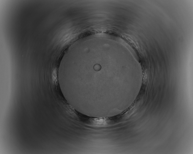 X0000093530335200710121604