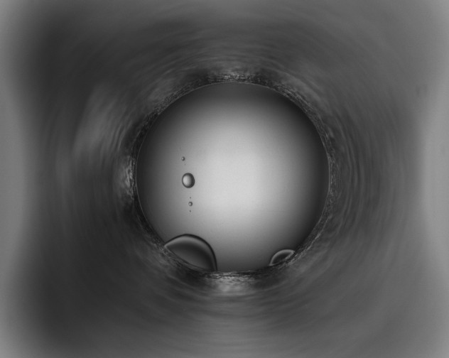 X0000093530336200710121604