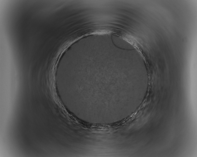 X0000093530337200710121603