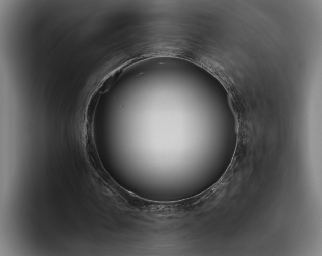 X0000093530338200710121603