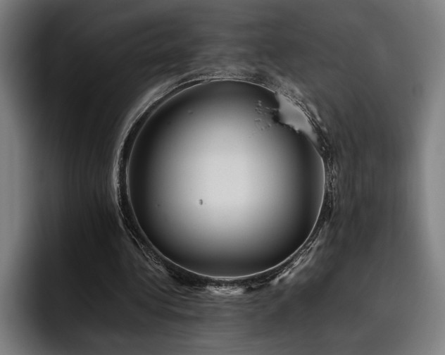X0000093530340200710121603