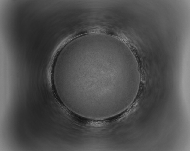 X0000093530341200710121603