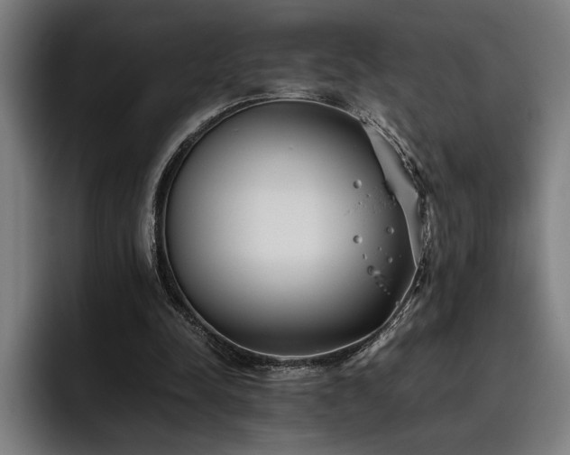 X0000093530342200710121603