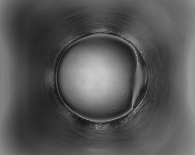 X0000093530345200710121603
