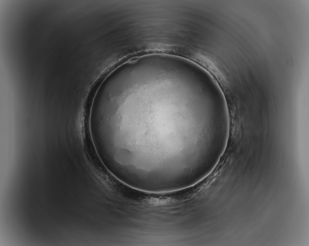 X0000093530346200710121603