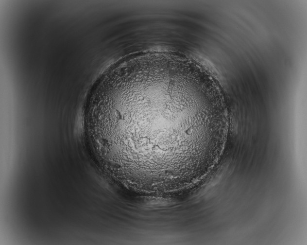 X0000093530347200710121603