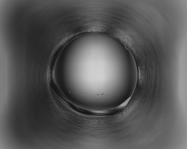 X0000093530348200710121603