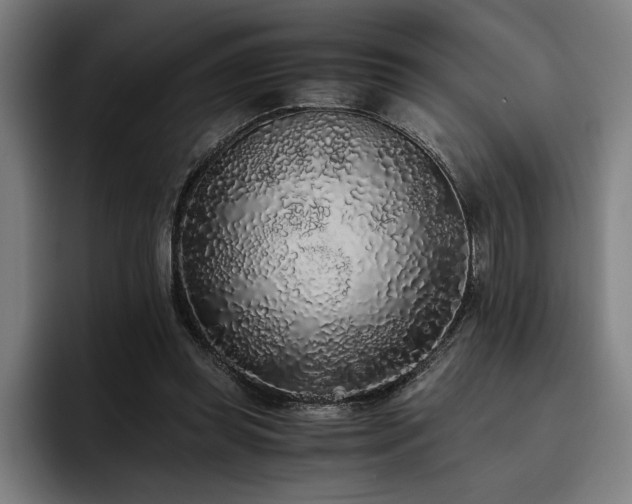 X0000093530349200710121603
