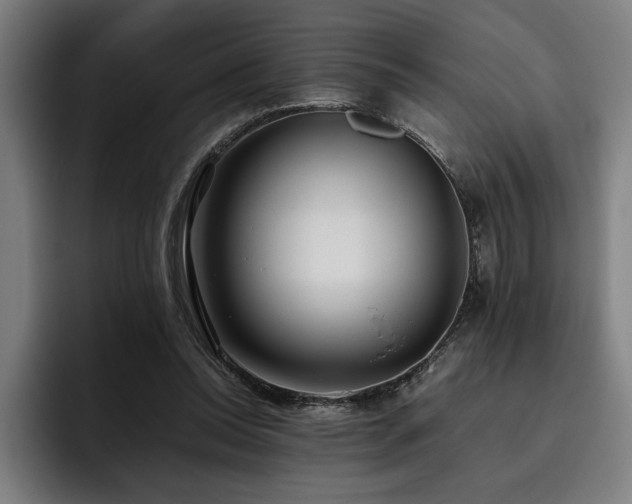 X0000093530350200710121603