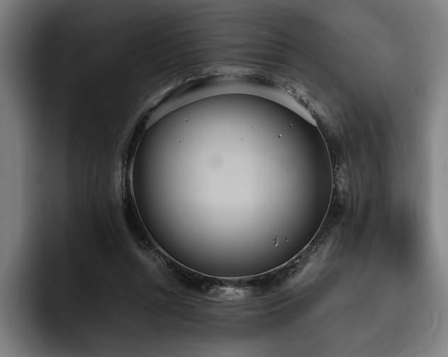 X0000093530352200710121603