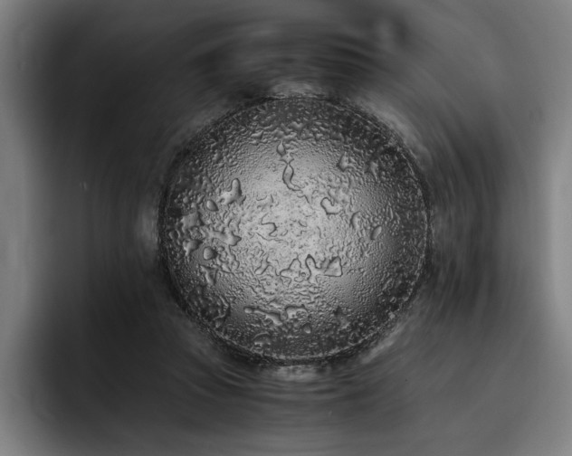 X0000093530353200710121603