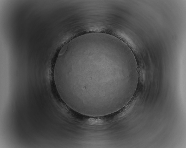 X0000093530354200710121603