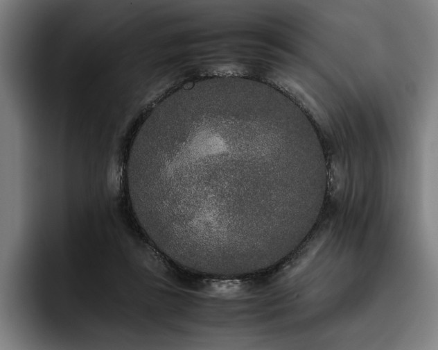 X0000093530355200710121603