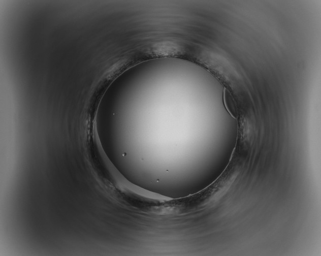 X0000093530356200710121603