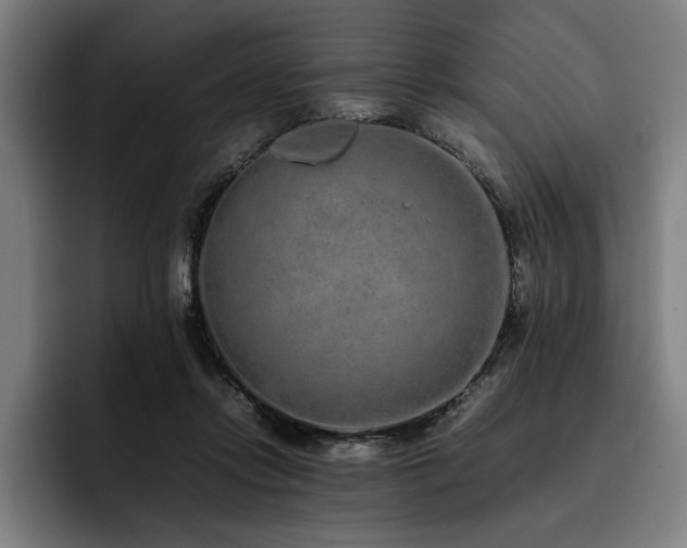X0000093530358200710121603