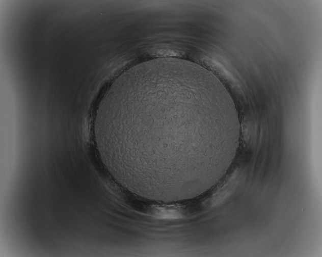 X0000093530359200710121603