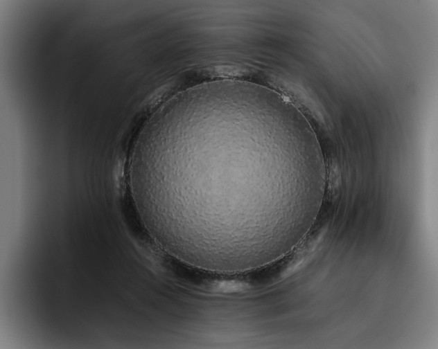 X0000093530360200710121603