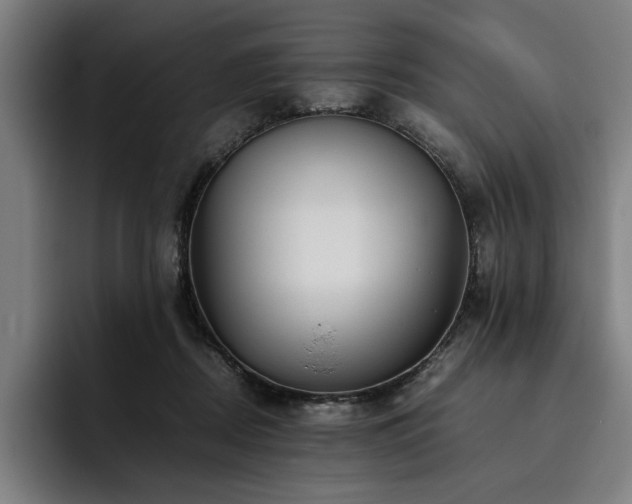 X0000093530362200710121603
