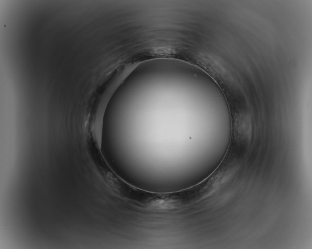 X0000093530364200710121603