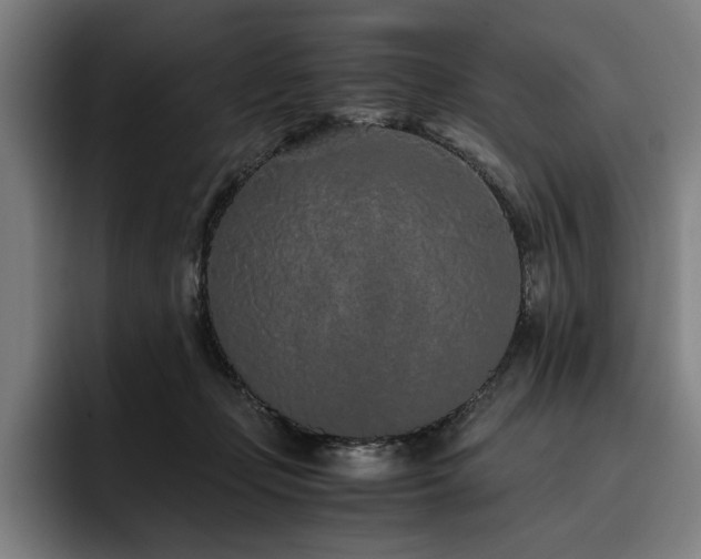 X0000093530365200710121603