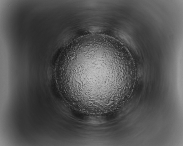 X0000093530367200710121603