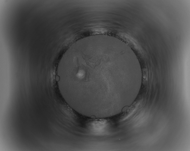 X0000093530369200710121603