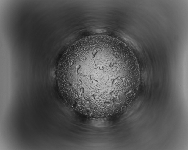 X0000093530373200710121603