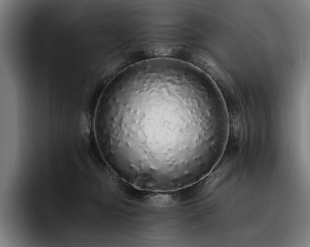 X0000093530374200710121603