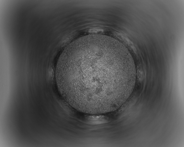 X0000093530375200710121603