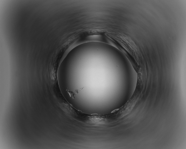 X0000093530380200710121603