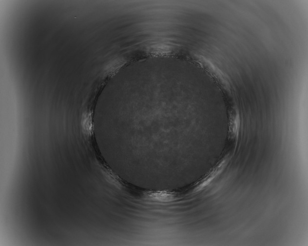 X0000093530383200710121603
