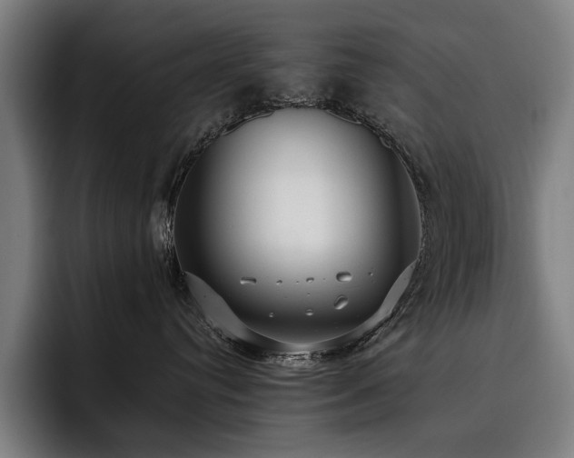 X0000093530384200710121604