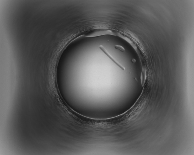 X0000093530385200710121603