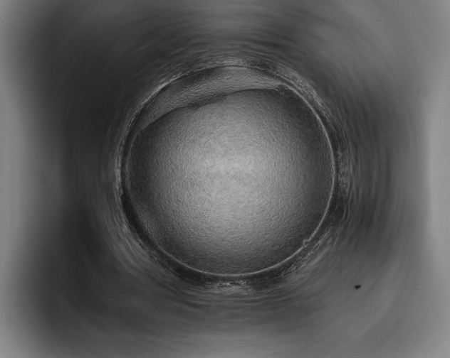 X0000093530386200710121603